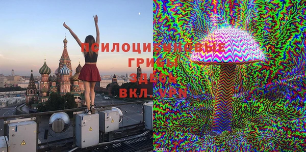 соль курить ск Михайлов