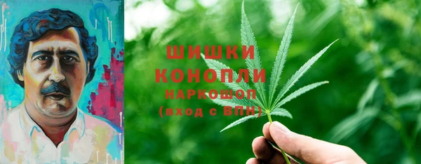 сатива Михайловка