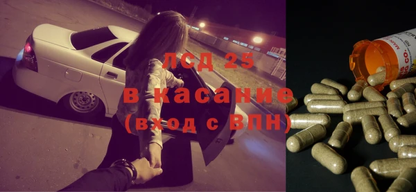 сатива Михайловка