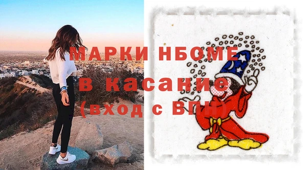 сатива Михайловка
