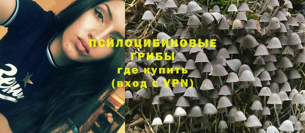 круглые Михайловск