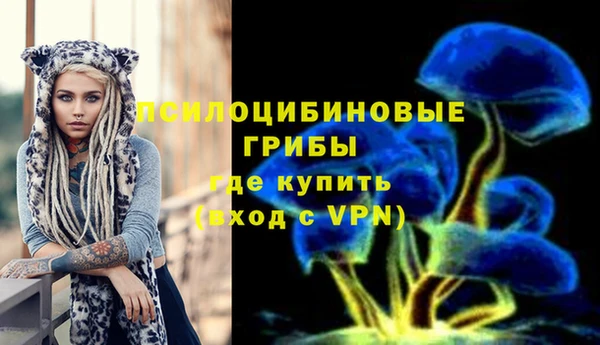 соль курить ск Михайлов