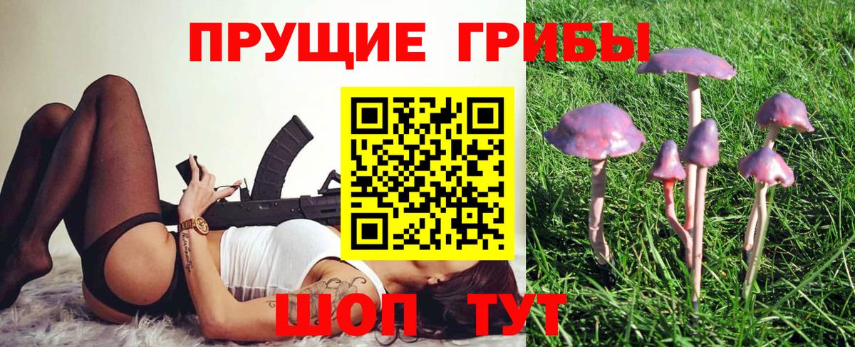 Псилоцибиновые грибы ЛСД Нягань