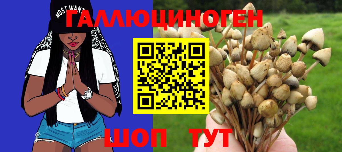 Псилоцибиновые грибы Cubensis  Псилоцибиновые грибы MAGIC MUSHROOMS  Нягань 