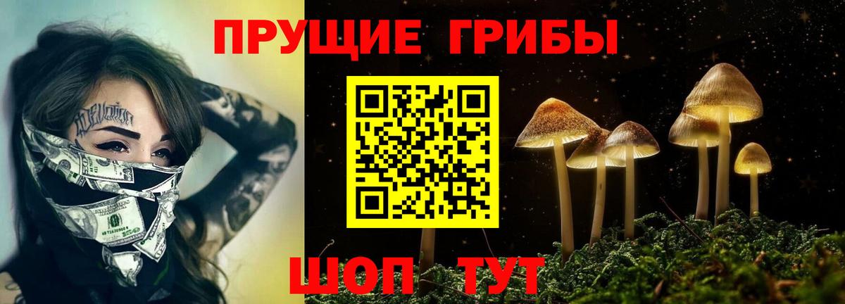 Нягань  Псилоцибиновые грибы MAGIC MUSHROOMS  Вход с VPN 